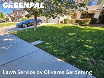 Lawn Mowing Service nearby Palmdale, CA, 