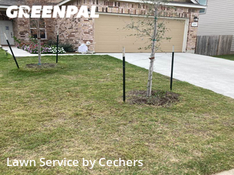 Lawn Mow nearby Georgetown, TX, 