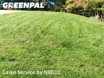 Grass Cut nearby Cannon Township, MI, 