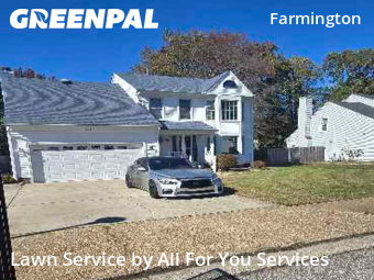 Grass Cut nearby Hampton, VA, 