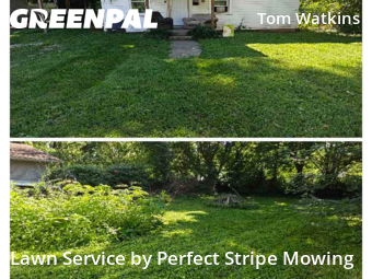 Lawn Cutting nearby Springfield, MO, 