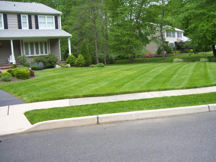 grass-cutting-businesses-in-Concord-NH