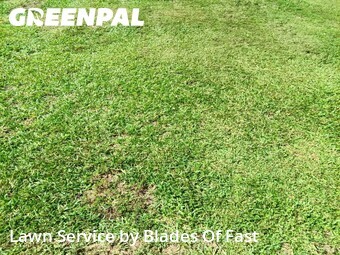 Lawn Care Service nearby Griffin, GA, 