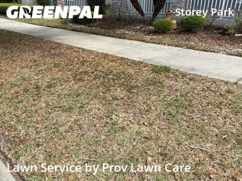 Lawn Mowing Service nearby Orlando, FL, 