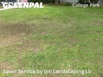 Residential Landscaping In Orlando,32804,Landscaping Cleanup by Ijm Landscaping Llc, work completed in Jun , 2026
