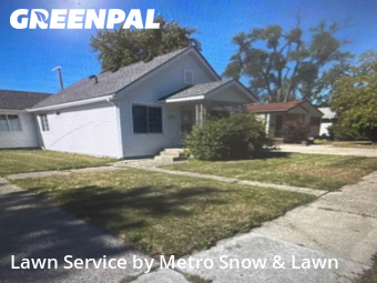 Yard Care in Eastpointe, 48021, Turf Services by Metro Snow & Lawn, work completed in Nov , 2025