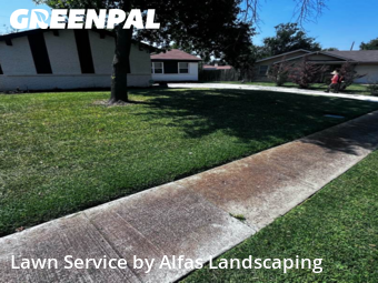 Lawn Carein Irving,75062,Grass Cut by Alfas Landscaping, work completed in Nov , 2025