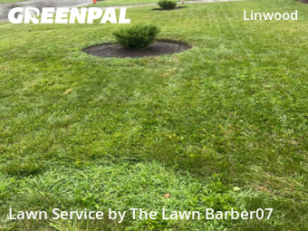 Yard Cutting nearby Columbus, OH, 