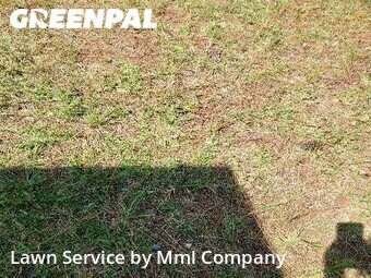 Lawn Care Service nearby Fayetteville, NC, 