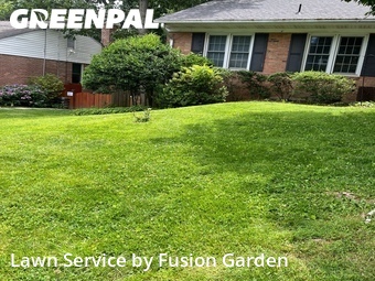 Yard Cutting nearby Potomac, MD, 