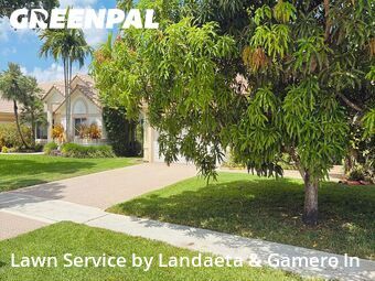Grass Cut nearby Plantation, FL, 