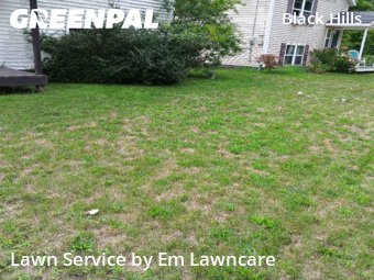 Lawn Mow nearby Grand Rapids, MI, 