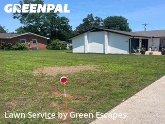 Grass Cutting nearby Smyrna, TN, 