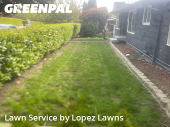 Yard Cutting nearby 西雅图, WA, 