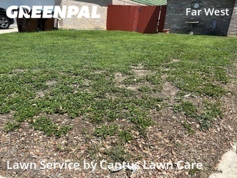 Yard Cutting nearby San Antonio, TX, 