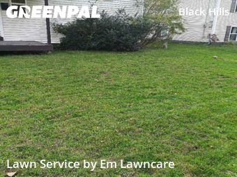 Lawn Mow nearby Grand Rapids, MI, 