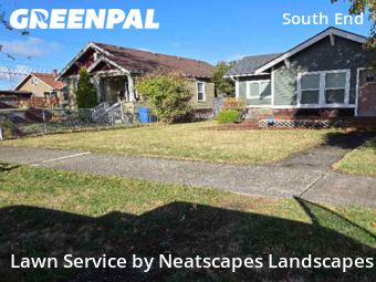 Yard Services in Tacoma, 98408, Yard Grooming by Neatscapes Landscapes, work completed in Nov , 2025