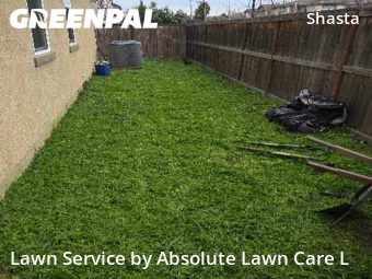 Landscaping Renovation In Elk Grove,95758,Landscaping Installation by Absolute Lawn Care L, work completed in Jan , 2026