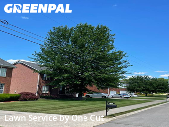 Lawn Care nearby Smyrna, TN, 