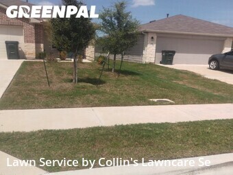 Lawn Cut nearby Kyle, TX, 