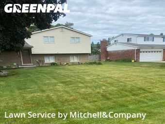 Grass Cut nearby Shelby Township, MI, 
