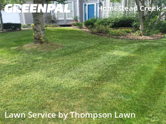 Grass Cutin Olathe,66062,Grass Cut by Thompson Lawn, work completed in Nov , 2025