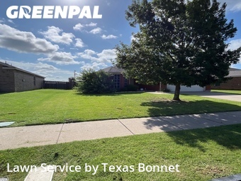Lawn Mow nearby Royse City, TX, 