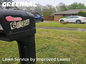 Grass Cut nearby Montgomery, AL, 