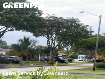 Weed Trimming in Oakland Park, 33309, Garden Trimming by Lawnsetc, work completed in Nov , 2025