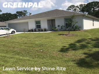 Grass Cut nearby Palm Bay, FL, 