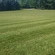 grass-cutting-businesses-in-Syracuse-NY