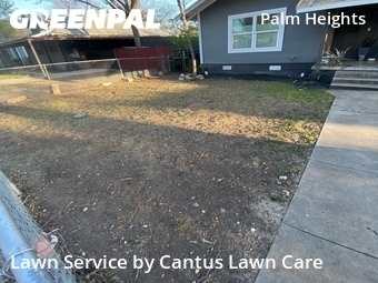 Grass Cut nearby San Antonio, TX, 