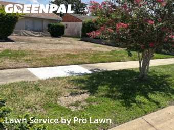 Lawn Mowing nearby Orlando, FL, 