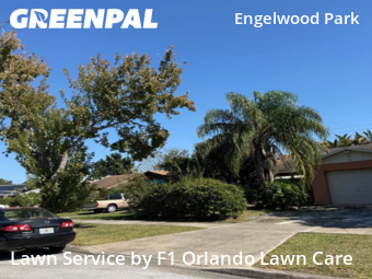 Landscaping In Orlando,32807,Landscaping Renovation by F1 Orlando Lawn Care, work completed in Nov , 2025