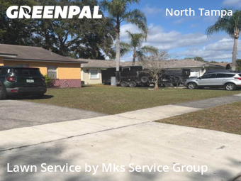 Lawn mowed in Lake Magdalene, 33618