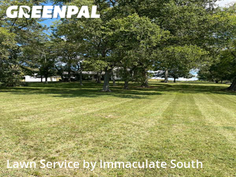 Lawn Cut nearby Franklin, TN, 