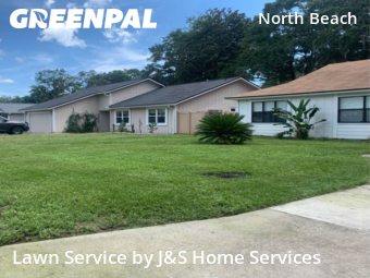 Grass Cut nearby Jacksonville, FL, 