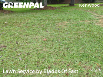 Lawn Mowing Service nearby Smyrna, GA, 