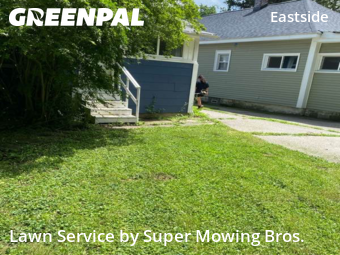 Lawn Service nearby Lansing, MI, 