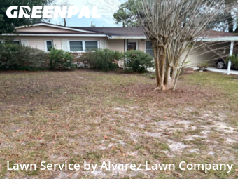 Lawn Mowingin Altamonte Springs,32714,Grass Cutting by Alvarez Lawn Company, work completed in Feb , 2026