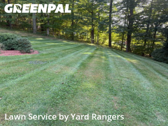 Turf Services in Cheshire, 6410, Yard Grooming by Yard Rangers, work completed in Nov , 2025