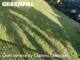 Yard Management in Deerfield Beach, 33442, Grass Care by Caidens Lawncare , work completed in Dec , 2025