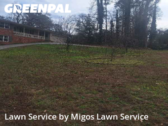 Lawn Carein Marietta,30062,Lawn Care by Migos Lawn Service, work completed in Jan , 2026