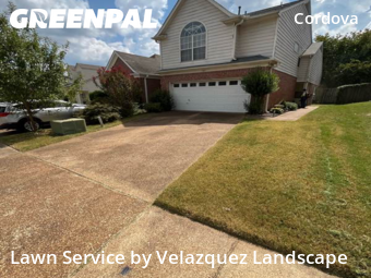 Yard Cutting nearby Shelby County, TN, 