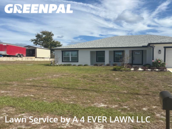 Yard Mowing in Spring Hill, 34608, Yard Care by A 4 EVER LAWN LLC, work completed in Nov , 2025