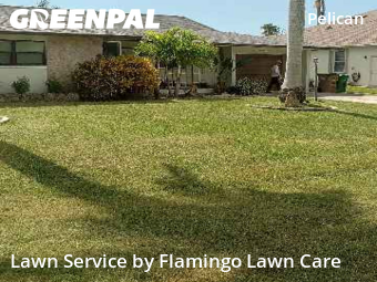 Yard Maintenance in Cape Coral, 33914, Yard Services by Flamingo Lawn Care, work completed in Oct , 2025