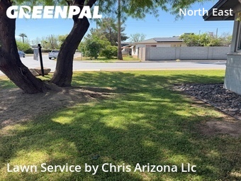 Lawn mowed in Phoenix, 85008