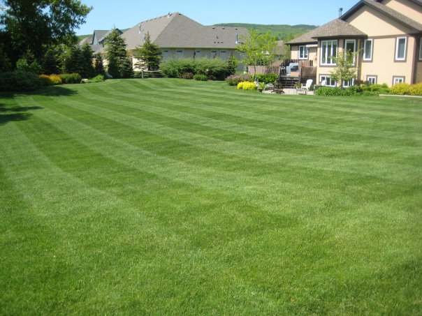 Lawn Care Service in Bonner Springs, KS, 66043