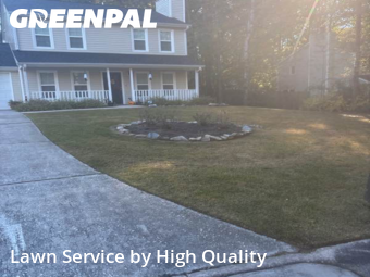 Yard Mowing in Peachtree City, 30269, Mowing Services by High Quality , work completed in Dec , 2025