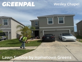 Lawn Mow nearby Wesley Chapel, FL, 